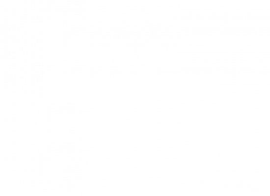 MVS_KSP-boldWine_white